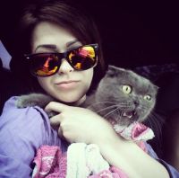 Лот: 4598971. Фото: 5. продам породистого шотландского...