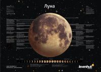 Лот: 4736086. Фото: 3. Комплект постеров Levenhuk «Космос... Домашний быт