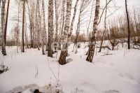 Лот: 25294808. Фото: 7. участок , ДНТ Чёрная Сопка ДНТ...