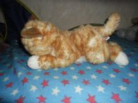 Лот: 7010824. Фото: 2. Котенок. Игрушки