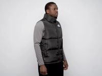 Лот: 21430362. Фото: 4. Жилет The North Face. Красноярск