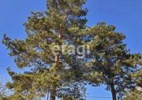Лот: 25290706. Фото: 13. 5-комн. и более дом , СНТ Надежда...