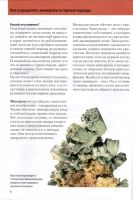 Лот: 18663336. Фото: 3. "Камни и минералы" Хёхляйтнер... Литература, книги