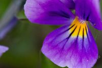 Лот: 1397399. Фото: 2. Canon 100 мм f/2.8 EF Macro USM... Фото, видеокамеры, оптика