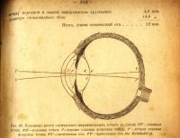 Лот: 17800804. Фото: 18. И.А.Чуевский. Краткий курс физиологии...