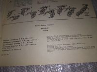 Лот: 11057562. Фото: 7. Вязание, Г.Ильина, В альбоме представлены...