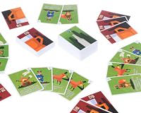 Лот: 6571870. Фото: 3. Игра застольная "Ёрш Баня". Красноярск