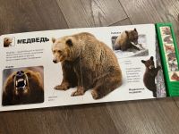 Лот: 24330065. Фото: 3. Книга животные леса. Дети растут