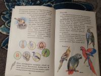 Лот: 24059006. Фото: 3. Марина Собе-Панек Азбука домашних... Литература, книги