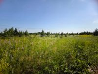 Лот: 25552852. Фото: 8. участок , садоводческое некоммерческое...