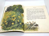 Лот: 25169609. Фото: 6. 📗 Анатолий Онегов. На лугу. Худ...