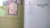 Лот: 7616293. Фото: 2. книга про Бородино с картинками. Искусство, культура