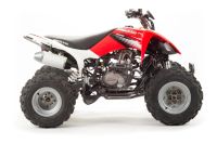 Лот: 16058113. Фото: 7. Квадроцикл Motoland ATV 250S