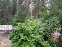 Лот: 16344293. Фото: 16. Продается дом 64 кв.м. 9 сот...
