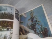 Лот: 25722110. Фото: 6. OzР/ВбР(00-36)Встреча с Селигером...