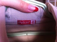 Лот: 4263329. Фото: 3. Толстовка Pelican на 4 годика. Дети растут