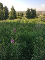 Лот: 18317472. Фото: 5. Земельный участок