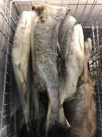 Лот: 15606261. Фото: 2. Кета ПБГ 1 сорт с/м. Продукты