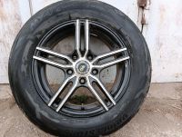 Лот: 19305256. Фото: 2. Шины Bridgestone MY-02 Sporty... Шины, Диски