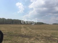 Лот: 25294849. Фото: 4. участок , посёлок Березняки посёлок... Красноярск