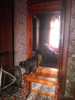 Лот: 11398477. Фото: 2. зеркало, трюмо. Антиквариат