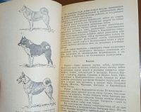 Лот: 24890281. Фото: 10. Охотничье собаководство.* 1957...