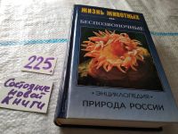 Лот: 17861058. Фото: 9. Волцит О.В., Черняховский М.Е...