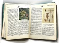 Лот: 24064137. Фото: 2. 📘 Игорь Акимушкин. Мир животных... Справочная литература