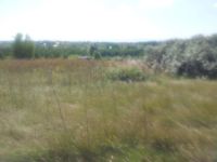 Лот: 2660099. Фото: 6. Участок 6 соток около д. Сухая...