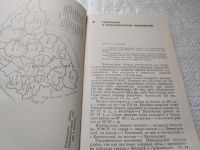 Лот: 19325338. Фото: 3. оз....Серова В.Н., Барышева А... Литература, книги