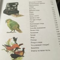 Лот: 16999343. Фото: 5. Занимательная книга знаний в вопросах...