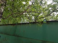 Лот: 15955632. Фото: 5. На выходных закрываю торги. Гараж...