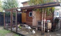 Лот: 13799565. Фото: 4. Продается дом 45 кв.м. 15 сот... Красноярск