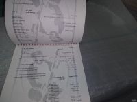 Лот: 18499380. Фото: 11. Шарон Иуда Давайте споем. Сборник...