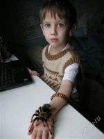 Лот: 740891. Фото: 2. Паук птицеед!. Животные и уход