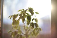 Лот: 11480778. Фото: 7. Nikkor 5.8cm f1.4 Один из самых...