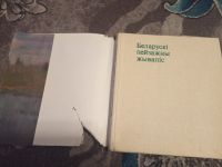 Лот: 19900896. Фото: 2. Белорусская пейзажная живопись. Искусство, культура