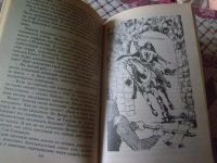 Лот: 20775423. Фото: 7. Книга Ф.Ван Вик Мейсон "Серебряный...