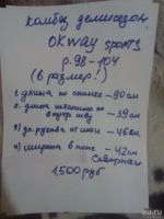 Лот: 8297254. Фото: 2. Комбинезон Демисезонный р.98-104... Одежда и аксессуары