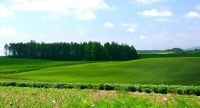 Лот: 6121804. Фото: 2. Куплю землю с высокой кадастровой... Продажа