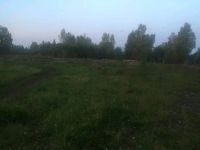 Лот: 10213575. Фото: 4. Продам участок в Сухобузимском... Красноярск