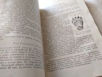 Лот: 18440510. Фото: 12. Доппельмаир Г.Г., Мальчевский...