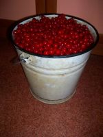 Лот: 7854224. Фото: 2. Вишня. Продукты