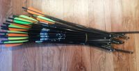 Лот: 4443475. Фото: 3. Продам Арбалет Barnett Predator. Спортивные товары