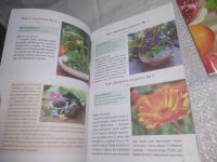 Лот: 25778053. Фото: 3. озю,вбр(00-48) Лечебные чаи. Комплект... Литература, книги