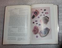 Лот: 25340988. Фото: 7. Книга альбом В.Шуман Мир камня...