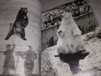 Лот: 25258361. Фото: 10. (2092314)S kamerou po evropskych...