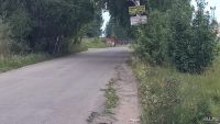 Лот: 9671414. Фото: 7. Земельный участок (размежеваный...
