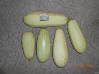 Лот: 14319524. Фото: 2. Кабачки Грибовские цена за 3 шт... Продукты