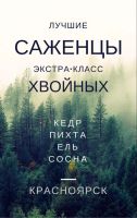 Лот: 10486922. Фото: 5. Ель елка пихта сосна в розницу...